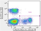 Anti-CD3 Stains T Cells Very Well