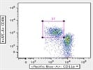 The Antibody Stains CD49b+ NK Cells Well
