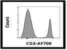 Anti-Mouse CD3