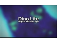 Digital Fluorescence Microscope System