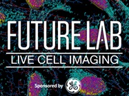 Using High-Content Analysis to Screen for Cytotoxicity in Cardiomyocytes