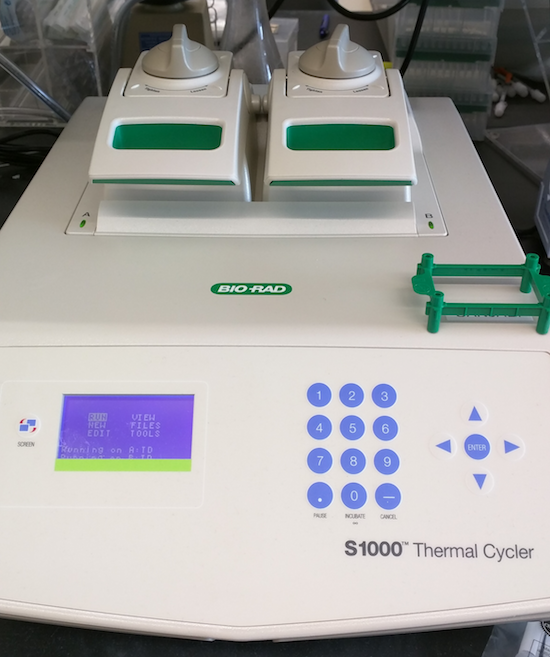 Thermal Cycler For PCR Product Review.