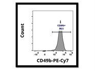 Anti-Mouse CD49b Antibody