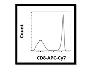 Anti-Mouse CD8a Antibody