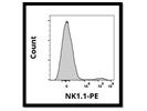 Anti-Mouse NK1.1 Antibody