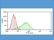Mouse Endothelial Cell VCAM-1 Flow Cytometry