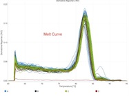 qPCR kit for DNA and RNA Templates