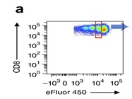 Great Reliable Dye To Monitor Cell Proliferation