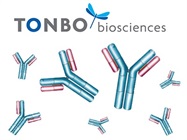 Save 20% on Antibodies