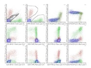 Watch Webinar: 10-color Panel Design for B-cell Screening