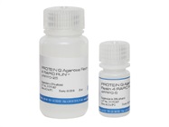 20% off Protein G Agarose Resin