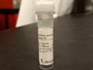 CD16/32 Fc Blocking Antibody