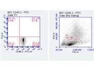Strong CD45.2 Antibody for Mouse PBMCs