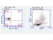 Excellent CD45.2 Antibody