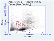 Anti-Mouse CD8a Antibody for PBMCs