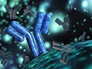 Immunophenotyping Update