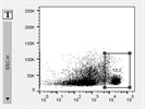 Great Antibody to Identify CD8a Positive T Cells