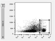 Great Antibody to Identify CD8a Positive T Cells