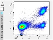 Great Antibody to Identify Donor T cells using CD90.2