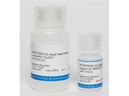 Agarose Bead Technologies can help improve your purification processes