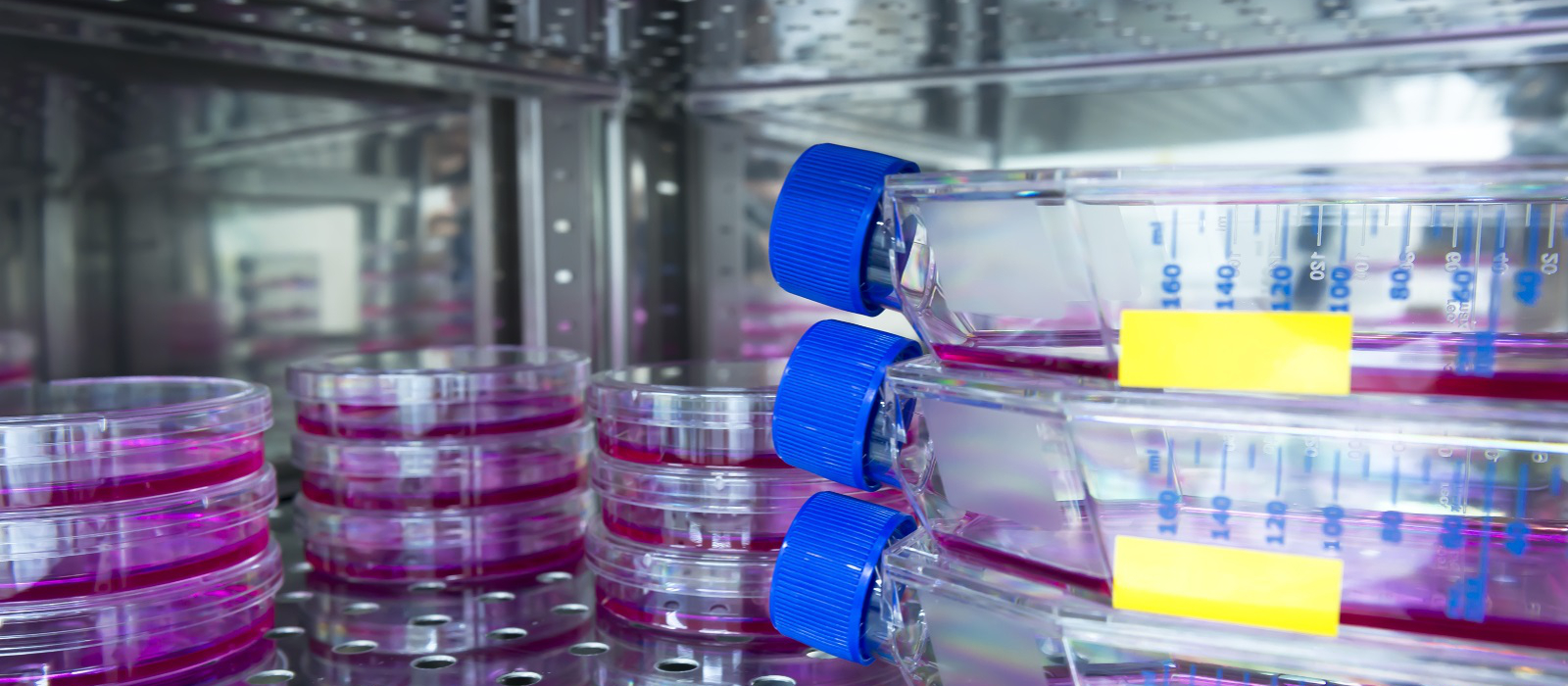  Grow Cells with Superior Uniformity