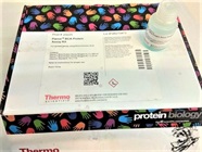Easy Protein Assay