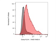 7AAD Works Well to Determine Viability by Flow Cytometry