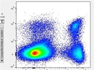 Great Antibody to Identify KLRG1+ Terminal Effector CD8 T Cells