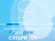 Your Comprehensive CRISPR Guide