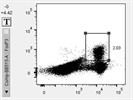 Great Antibody to Identify Foxp3+ Treg Populations