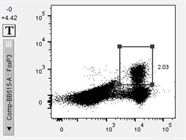 Great Antibody to Identify Foxp3+ Treg Populations