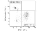 Anti-Human CD11c Antibody for Multicolor Panel