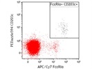 Anti-Human CD203c (E-NPP3) Antibody for Multicolor Panel