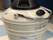 Great Liquid Nitrogen Storage Vessel