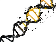 Dealing with Degraded DNA