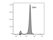 Bright Enough to Separate CD4+ Cells, but Requires Compensation