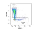 Clear Differentiation of CD11b+ and CD103+ Dendritic Cells