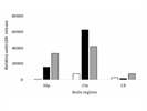 LDH Release Analysis for Cell Viability