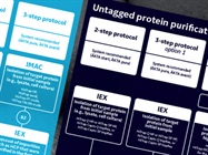 Free Wall Poster: How to Combine Protein Purification Techniques