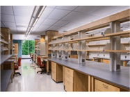 New Lab Startup Program
