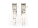 DreamTaq DNA Polymerase