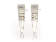 DreamTaq DNA Polymerase