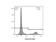 Anti-CD45 for Labeling of Mouse Lung Immune Cells