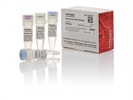 Invitrogen™ Platinum™ SuperFi DNA Polymerase