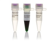 FastDigest Restriction Enzymes