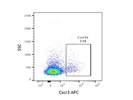 Stains Clear Population of Cxcr3+ T Cells, But Not Particularly Bright