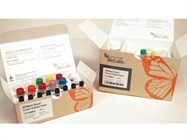 NEBNext Direct&trade; Cancer HotSpot Panel
