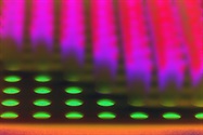 Immunoassay Kits Get Even more User Friendly