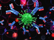 Antibody Drug Conjugate Development