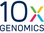 Join the CELLebration! 10x Genomics Single Cell Summer Webinar Series